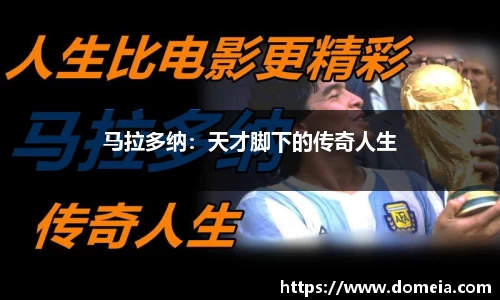 博鱼中国官方网站