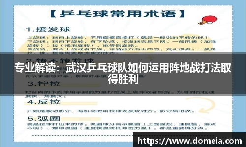 博鱼.体育官网