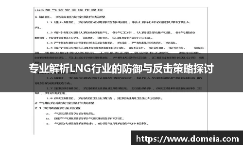 专业解析LNG行业的防御与反击策略探讨