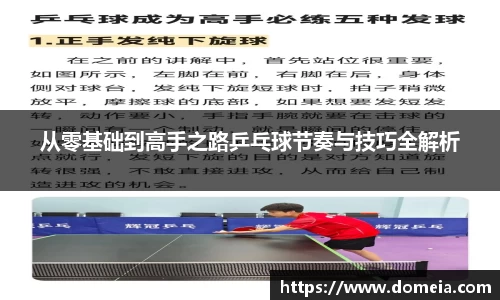 从零基础到高手之路乒乓球节奏与技巧全解析