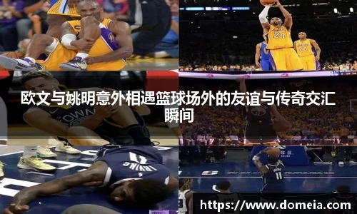 博鱼.体育官网