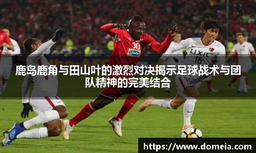 博鱼.boyu体育