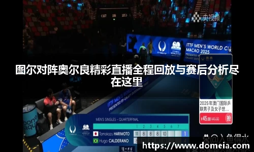博鱼.体育官网
