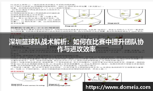 博鱼中国官方入口
